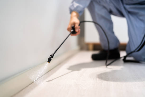 Bed Bug Pre-Treatment Preparation Assessment in West Canton